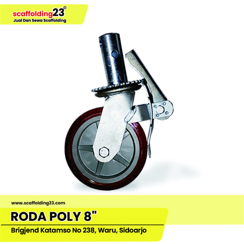 POLY 8